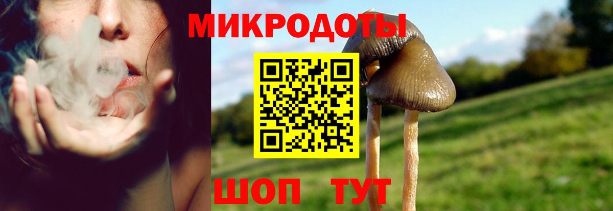 Конаково  что такое наркотик  Вход с VPN  Псилоцибиновые грибы мухоморы  Псилоцибиновые грибы прущие грибы 
